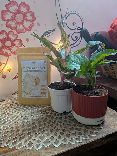 PXL_20251225_045933998